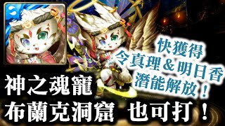 『神魔之塔』【神之魂寵 80布蘭克之匙 】[布蘭克洞窟] 狹縫之門 ‧ 魂寵 - 神眷顧的魂寵！            真理與EVA臨時5號機    明日香與EVA改2號機(獸化第4形態)  潛能解放