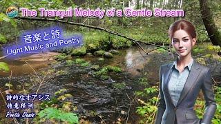 Poetic Oasis(10 tracks) | The Tranquil Melody of a Gentle Stream | relaxing | light music | healing