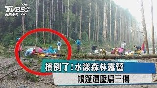 樹倒了！水漾森林露營　帳篷遭壓扁三傷