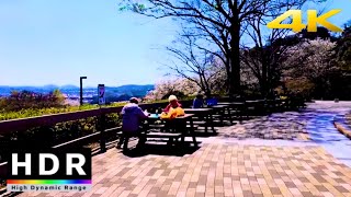 【4K HDR】神奈川県の金沢動物園を散歩(Kanazawa Zoo) - Kanagawa JAPAN Walk