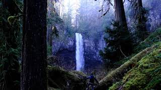 Hiking to waterfalls in the Gifford Pinchot