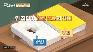 금은화 섭취를 통해 위 점막을 재생시켜라! 위 점막 보호가 중요한 이유? | 산전수전 여고동창생 55 회