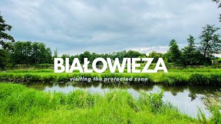 Visiting the Protected Zone | Trip to Białowieża Forest