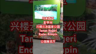 马来西亚🇲🇾Taman Negeri Endau Rompin 兴楼云冰国家公园，去了瀑布之后，我们去看看公园展览厅，很适合带小朋友来这里哦，了解热带雨林生态环境，还有这里的动物植物的作息.