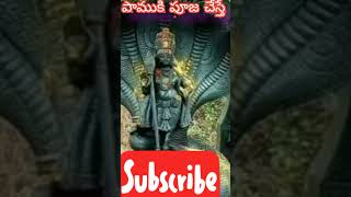 పాము కు పూజలు ఎందుకు చేయాలి 🙏🙏🙏#newshortstoday #subscribe