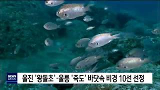 울진'왕돌초',울릉'죽도' 바닷속 비경 10선 선정[포항MBC뉴스]