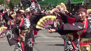 躍動　2019よさこい全国大会