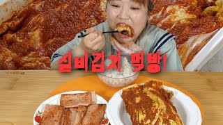 너무 매워서 헛웃음이 나오는 실비김치 먹방! 따끈한 흰 쌀밥에 스팸, 매운김치~ very spicy KIMCHI MUKBANG