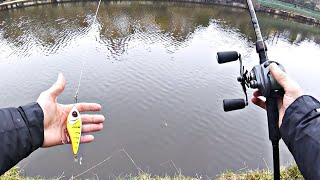 Jerkbait Fishing For Pike! (Canal Fishing)