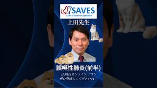 上田悠先生SAVESオンラインサロン〜誤嚥性肺炎（前半）切り抜き〜 #ビジネス #獣医 #オンラインサロン  #獣医 獣医師＃獣医師＃留学＃臨床現場＃動物病院＃上田悠先生