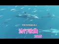 2025華語流行歌曲50首 ▶️ 大陸流行歌曲 2025流行歌曲 ⏭️ 無廣告 ⏭️ 2025新歌排行榜 沒有你陪伴真的好孤單 别劝我大度 可可托海的牧羊人