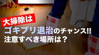 大掃除はゴキブリ退治の好機　注意すべき場所は？