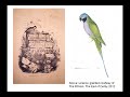 the zoological world of edward lear