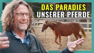 Unser ADAC-Übungsplatz für Pferde 🚧🐎  | Uwes Hofrundgang