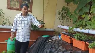 Low cost hydroponic set-up.  ಕಡಿಮೆ  ಕರ್ಚಿನಲ್ಲಿ ಮಾಡಬಹುದಾದ ಹೈಡ್ರೊಪೊನಿಕ್ ಮಾದರಿ.