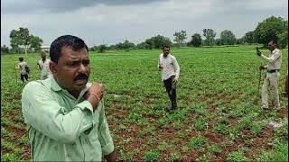 मुख्यमंत्री डॉ मोहन यादव का ऐतिहासिक फैसला गांवों में सरकारी जमीन है वह गोचर के लिए मुक्त कराई जाएगी