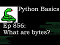 Python Basics Tutorial What are bytes?