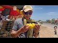 honey pineapplein okreat mong battambang province ស្រុកមោងភូមិអូគ្រៀតខេត្តបាត់ដំបងលក់ម្នាស់ទឺកឃ្មុំ