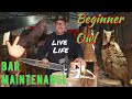 Very beginner carving a owl on very fresh cut pine wood. Chainsaw carving.