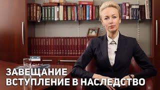 Завещание Вступление в наследство