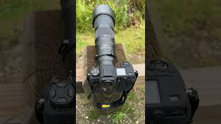 Nikon z9 camera with Nikon z 180-600mm f/5.6-6.3 VR zoom lens