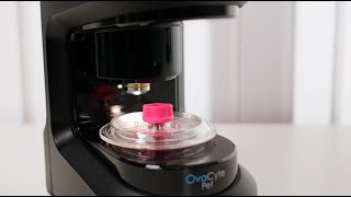 Meet OvaCyte Pet: Zero-hassle, AI-powered fecal analysis