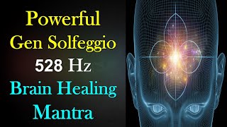 Ancient ZEN SOLFEGGIO 528 HZ Sounds For Brain & DNA Healing || Powerful Mantra || Dhyaan Guruji...