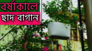 বর্ষাকালে ছাদ বাগান || Rooftop Garden Overview when Raining