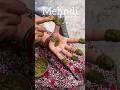 Natural Mehndi #youtube #plants #rakshabandhan