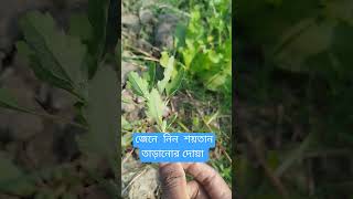 #viralvideo  বাড়ি থেকে শয়তান তাড়ানোর দোয়া 🥰