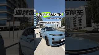 test Li Auto Autoparking—parallel parking #dubai #autopark #china #testdrive #liauto