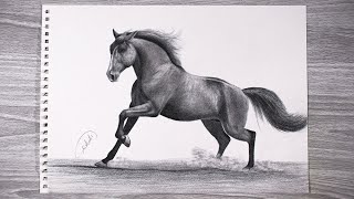 How To Draw A Horse With A Pencil || Speed Drawing