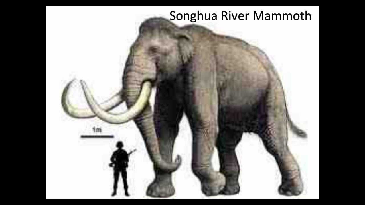 Giant Prehistoric Creatures