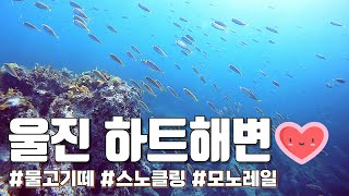 울진 하트해변😍 스노클링 추천🌊 | 물담그면 바로 물고기떼를 만나는 곳!