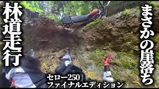 セロー250で林道を疾走！転倒・崖落ちアクシデントも！【MotoVlog#158】