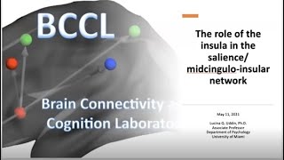 Lucina Q. UDDIN: The role of the insula in the salience/midcingulo-insular network