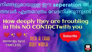 111ഈ seperarionനിൽ അവർ എത്രമാത്രം വേദനിക്കുന്നു ❤How deeply they are troubling#malayalam-tarot#tarot