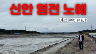 신안 염전 노예를 찾으러 가 봤습니다