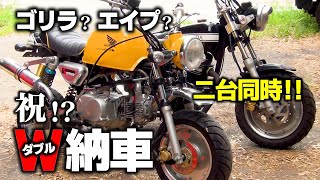 【二台同時に】祝!?ダブル納車！【ゴリラ？エイプ？】