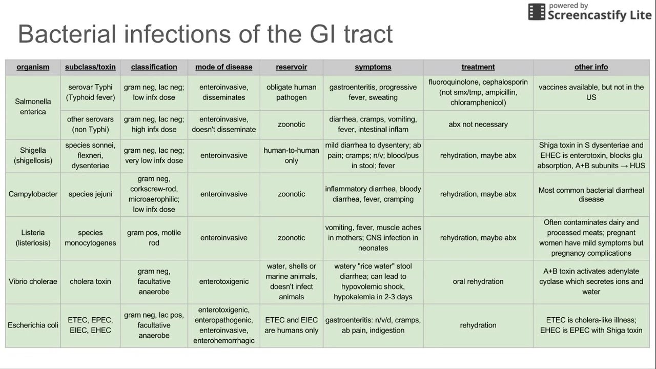 10 Most Common Bacterial Infections