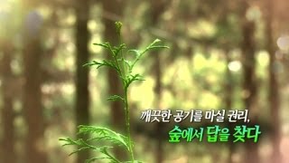 깨끗한 공기를 마실 권리, 숲에서 답을 찾다 / YTN 사이언스