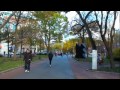 locust walk in fall