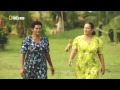 the amazing fiji island national geo wild ★ animals channel hd