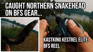 Catching Northern Snakehead with BFS Gear - Kastking Kestrel Elite Reel