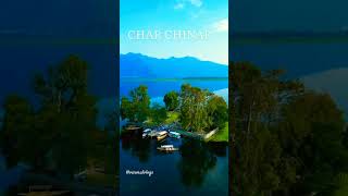 Char Chinar view #viral #trending #shortsfeed #youtubeshorts #explorepage #nature @VarmulVlogs