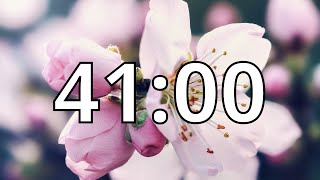41 Minutes Timer with Music | Cherry Blossom Timer
