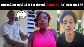 Shebada reacts to Anna allegedly ROBBED by Red Ants!