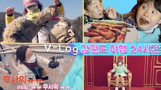 [V-Log] 라임아 도망쳐! 배고픈 양들이 몰려와요😱 다리가 후들후들 고소공포증 극복! 라임가족 여행 강원도 평창 발왕산 스카이워크 3편 Family tour in Korea