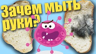 Зачем мыть руки - проект для детей