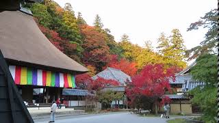 永源寺　紅葉　滋賀県